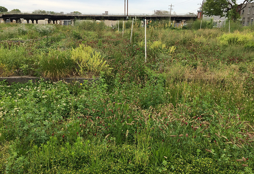 cc04.jpg
