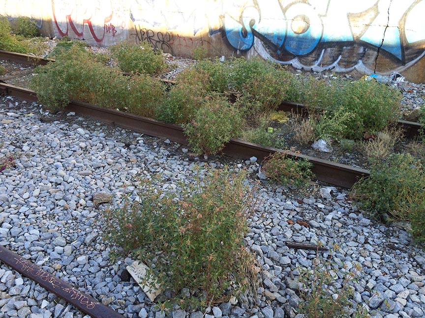 ed08.jpg